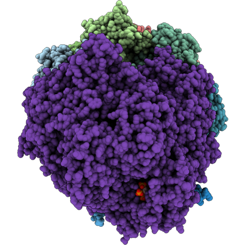 9TMS image