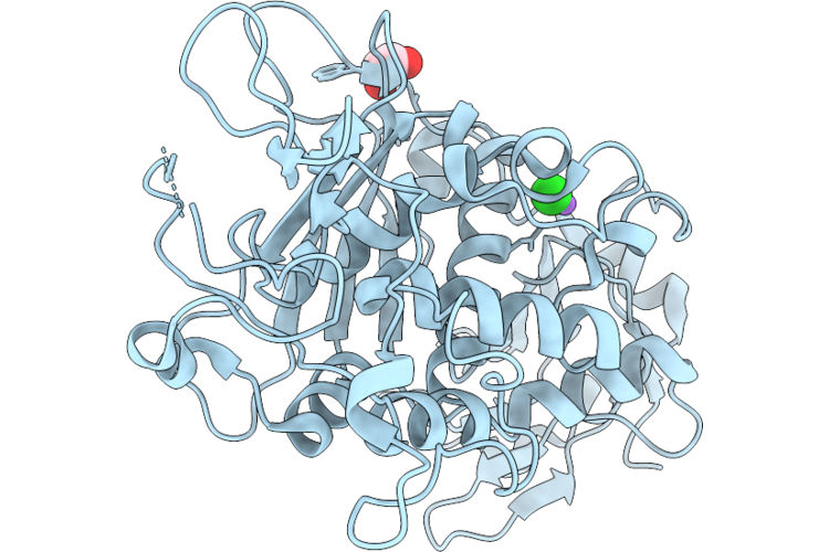 9TP2 image