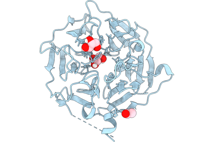 9TP5 image