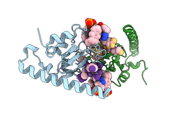 9TPH image