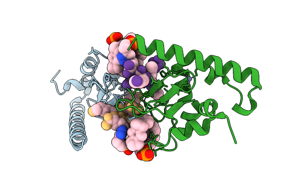 9TPI image