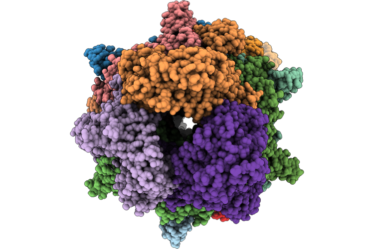 9TPS image