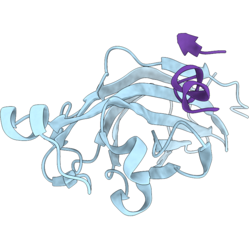 9TRB image