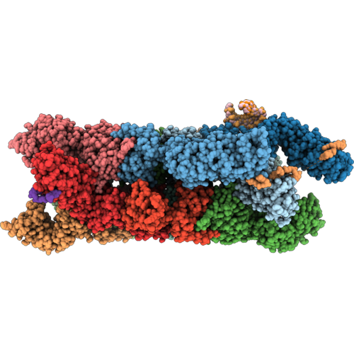 9TRD image