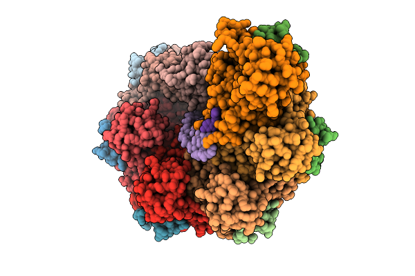 9TRM image