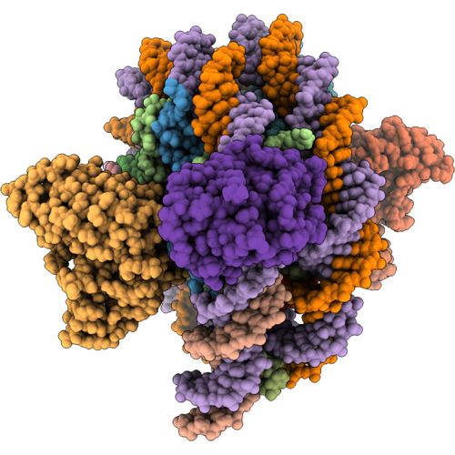 9TUN image