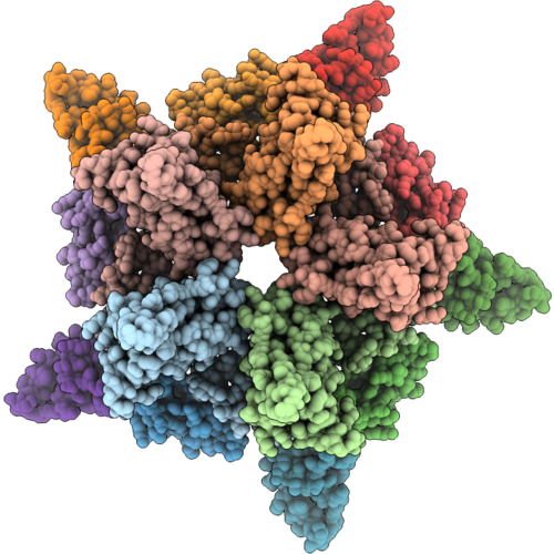 9TXA image