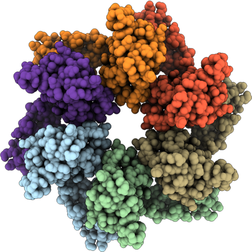 9TXB image