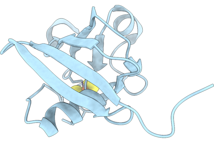 9TXE image
