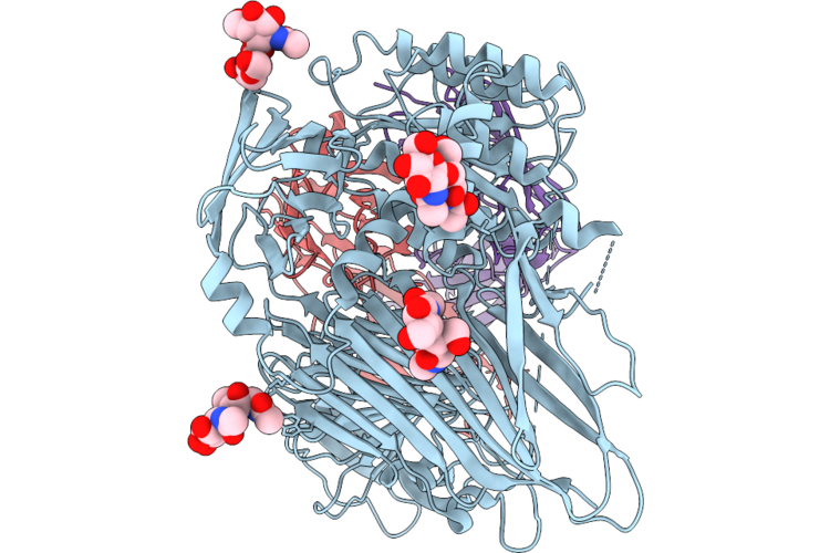9TXJ image