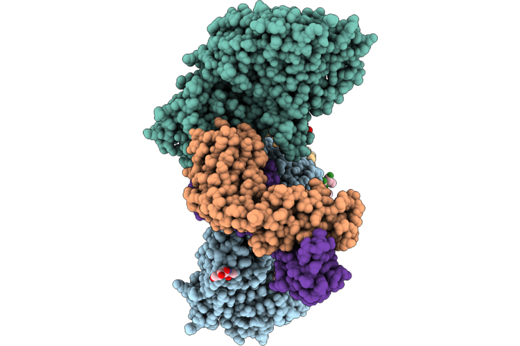 9TXL image