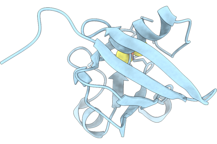 9TXO image