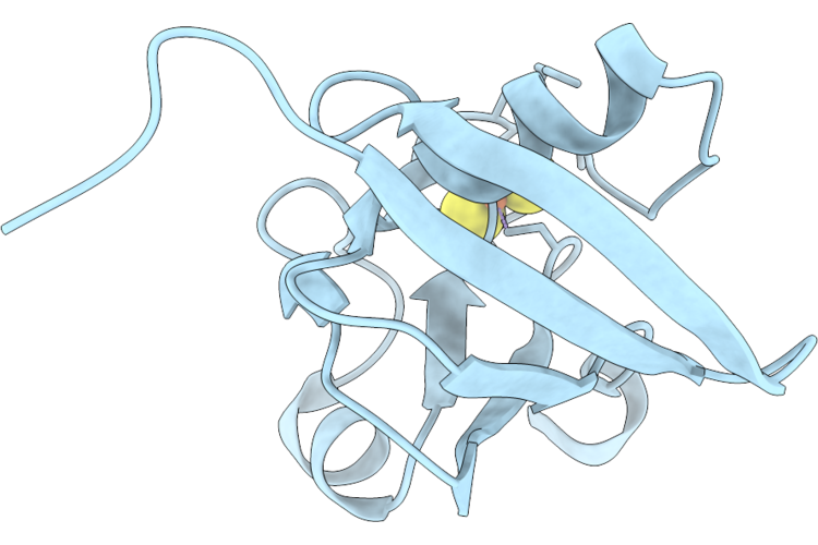 9TXQ image