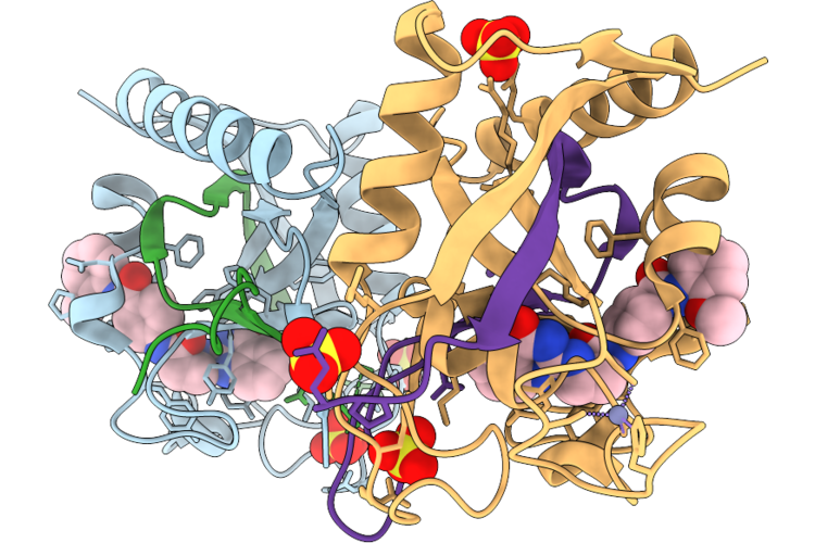 9TXU image