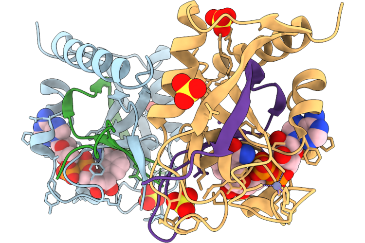 9TXW image