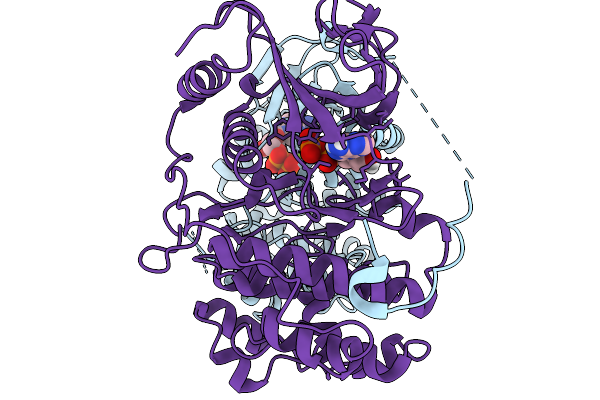 9TYG image