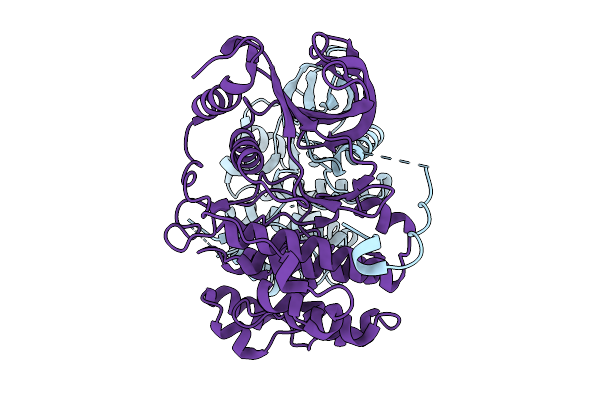 9TYI image