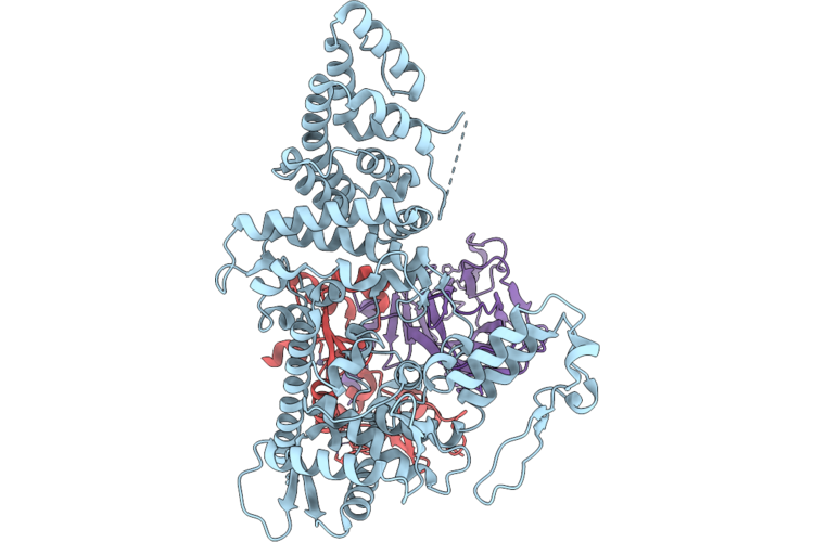 9U4D image