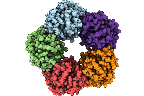 9U4E image