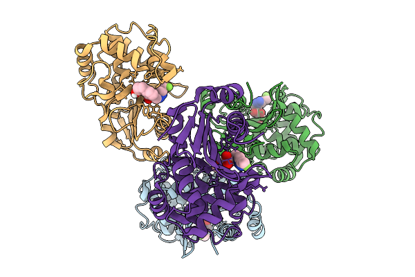 9U4I image