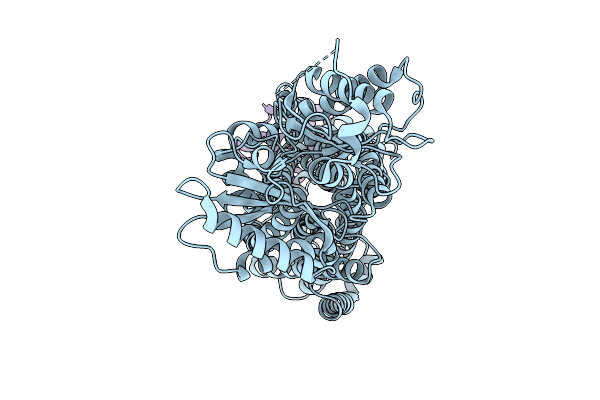9U4V image