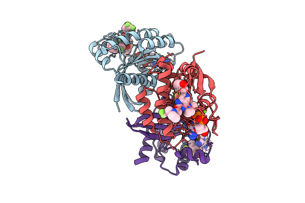 9U50 image