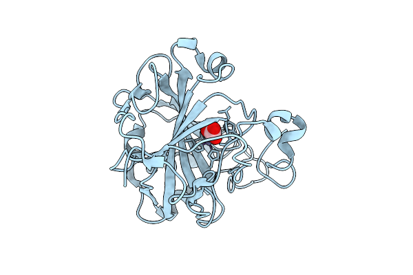 9U5B image