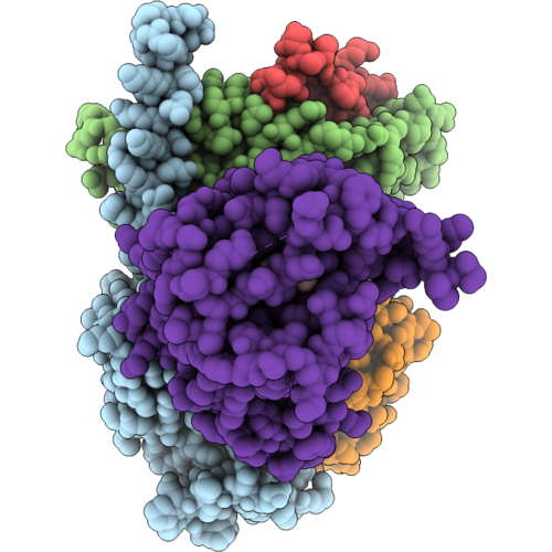 9U5E image