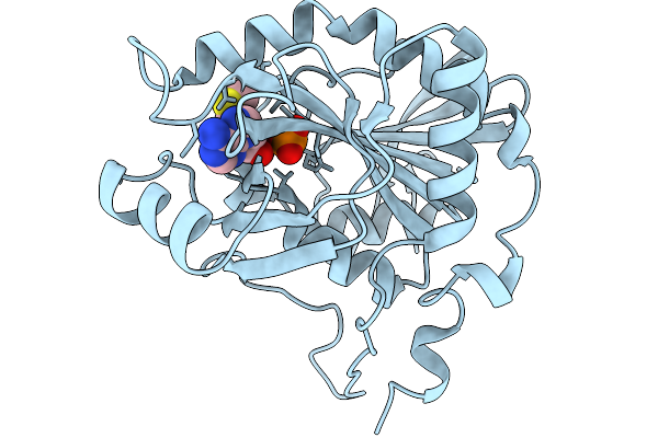 9U5H image