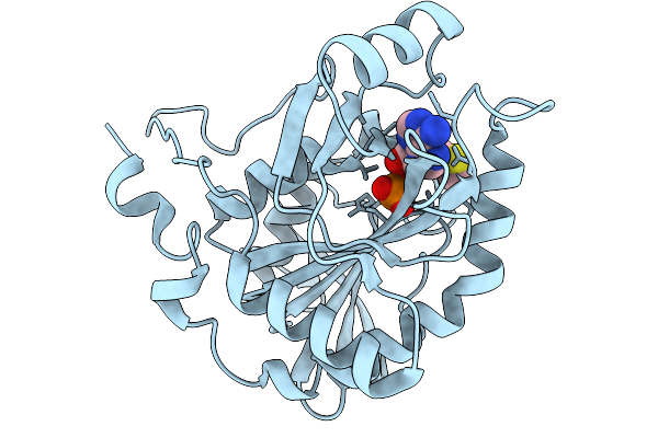 9U5I image