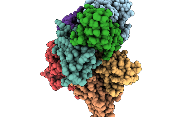 9U5P image