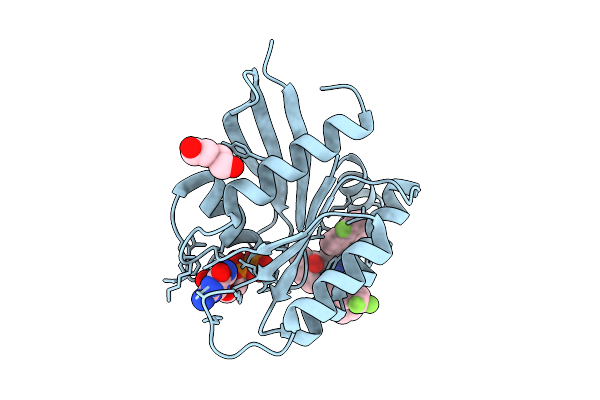 9U5T image