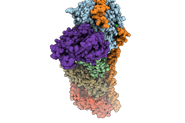 9U6D image