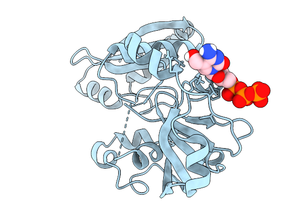 9U7Z image