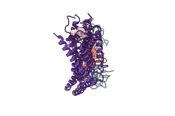 9U80 image