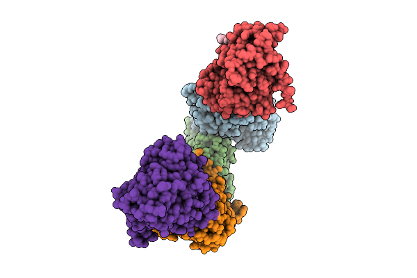 9U8C image