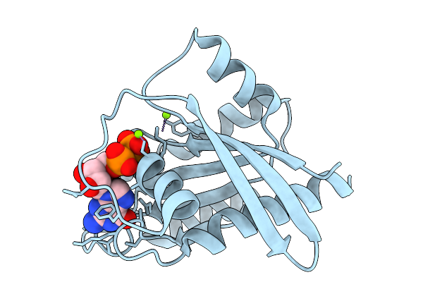 9U90 image