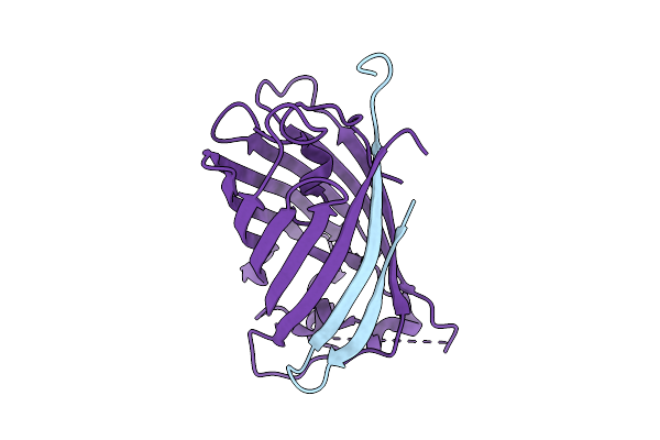 9U9D image