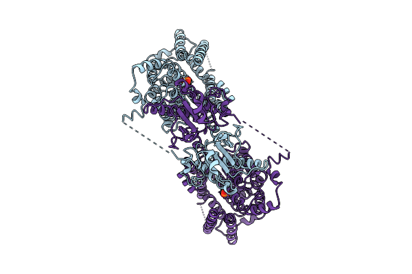 9U9F image
