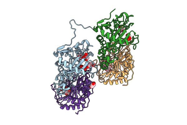 9UAB image