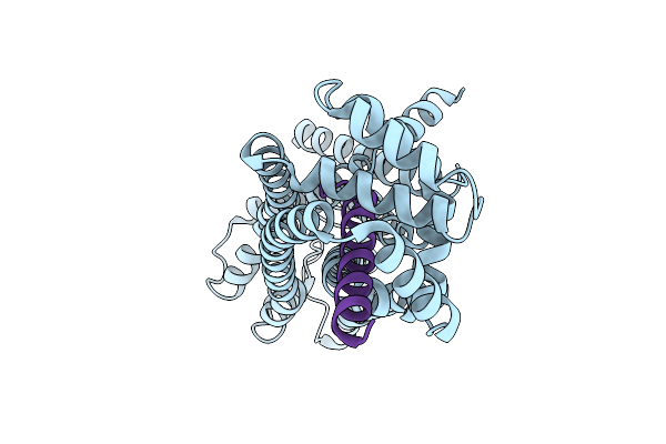 9UAP image