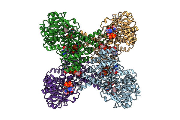 9UAR image
