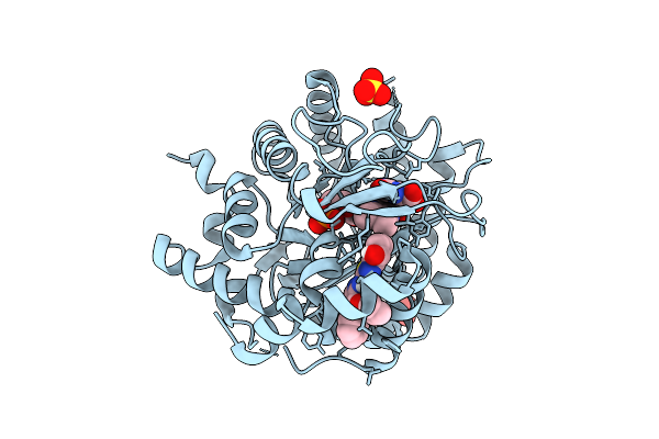 9UB2 image