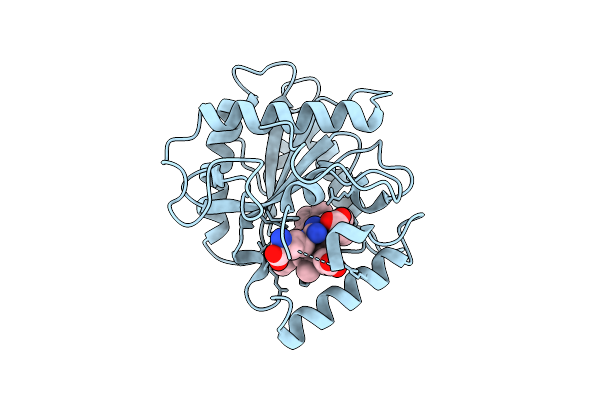 9UBA image
