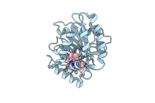 9UBB image