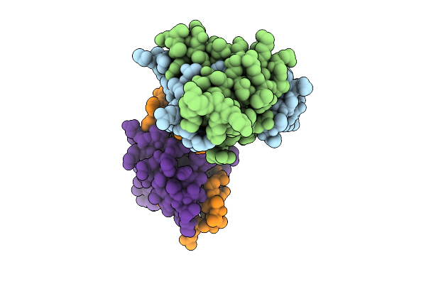9UBD image