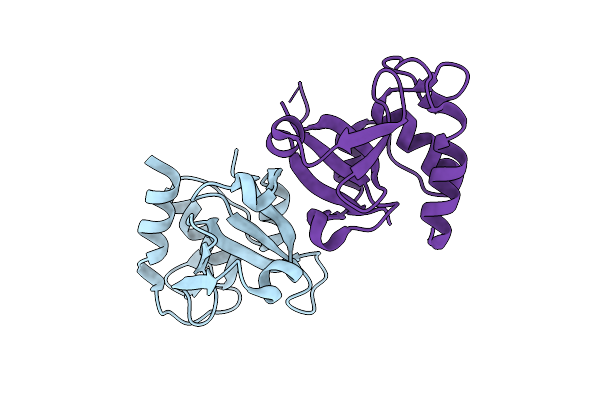 9UBF image