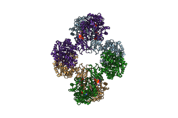 9UBG image