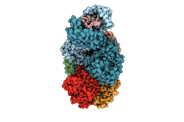 9UBM image