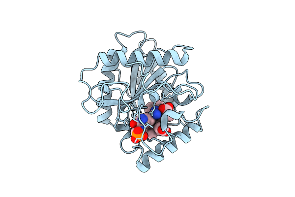 9UBT image